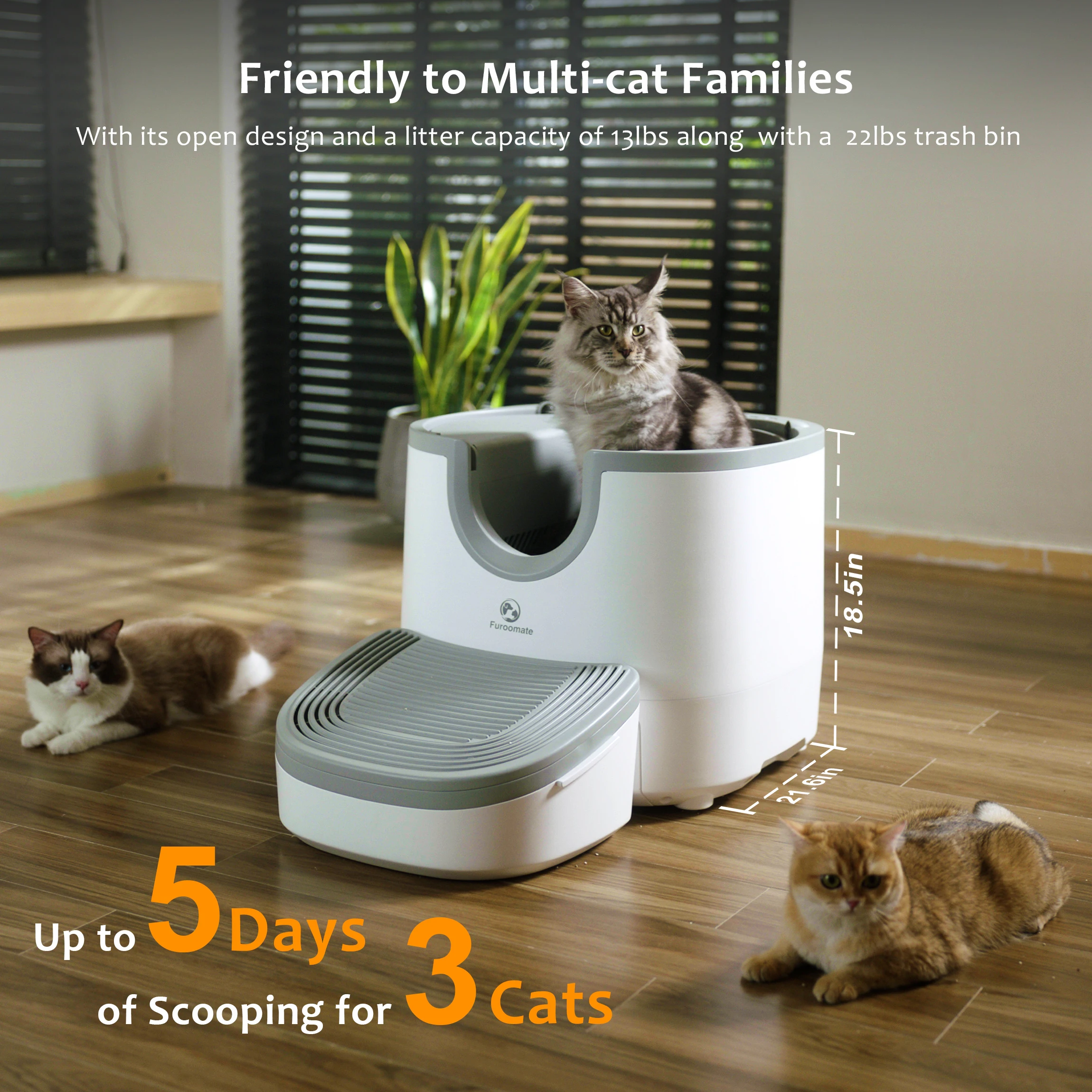 Self-Cleaning Cat Litter Box Open-Top Design with Advanced Safety Sensors Extra Large Capacity for Multi-Cat Homes Hassle-Free Self-Cleaning Cat Litter Box Open-Top Design with Advanced Safety Sensors Extra Large Capacity for Multi-Cat Homes Hassle-Free